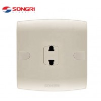 Songri Hot Sale British Standard Electrical 2 Pin Socket,2 Pin Socket Electric